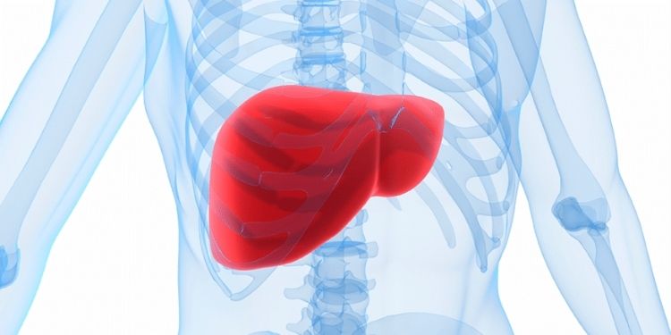 Journal of Spleen And Liver Research-Liver disease